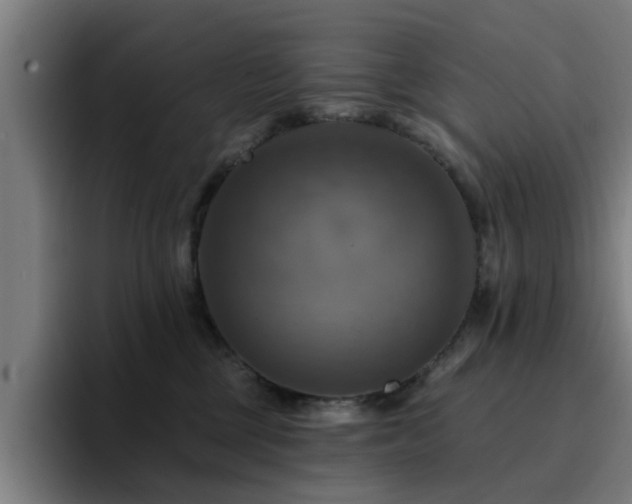 X0000094900377200712061033
