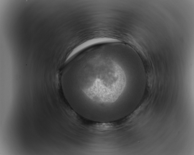 X0000094900378200712061033
