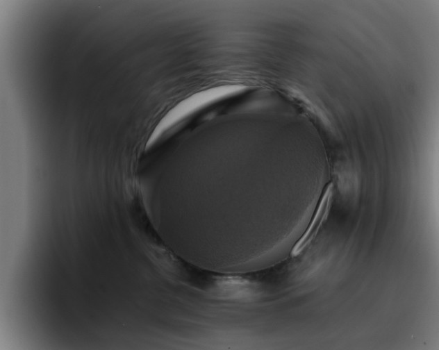 X0000094900380200712061033