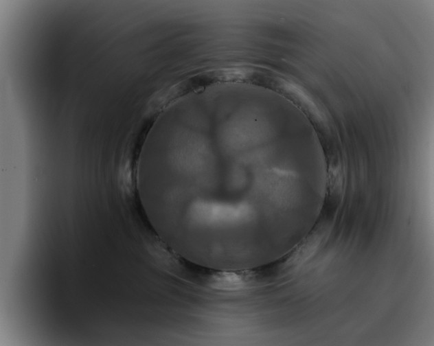 X0000094900381200712061033