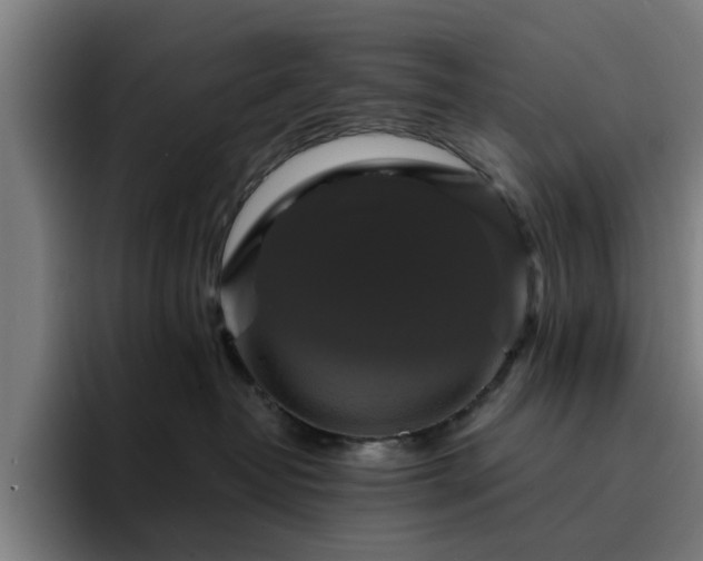 X0000094900382200712061033