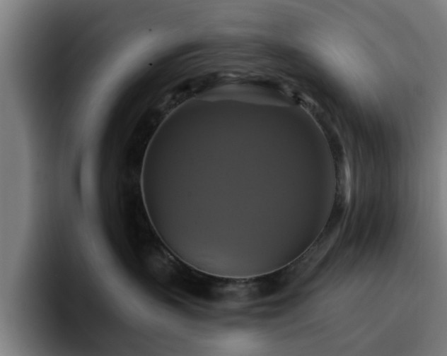 X0000094900383200712061033