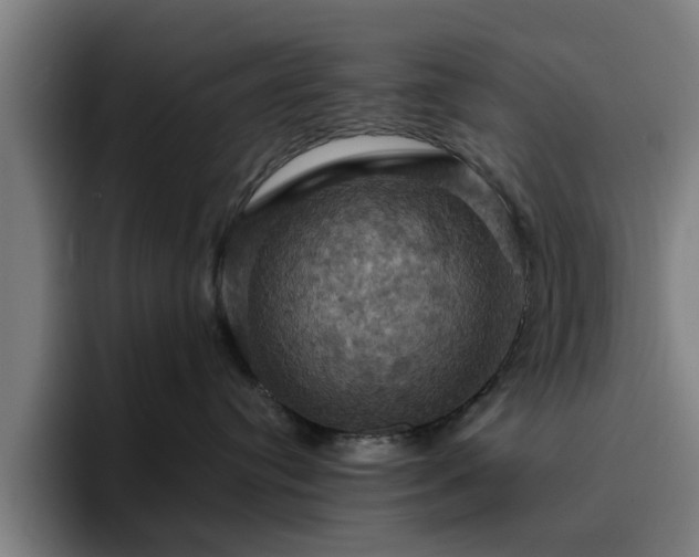 X0000094900384200712061033