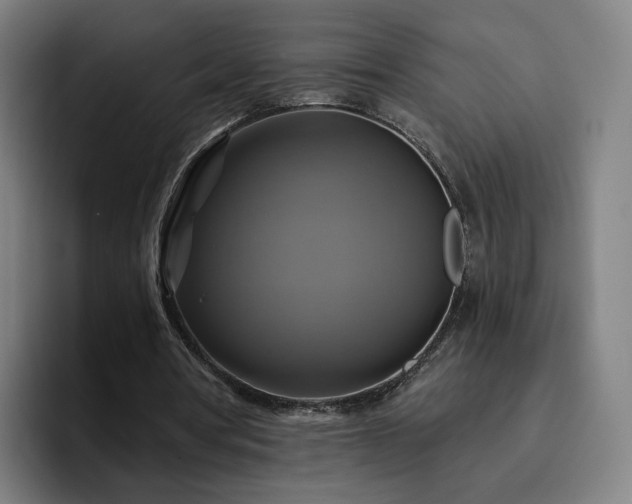 X0000094900386200712061033