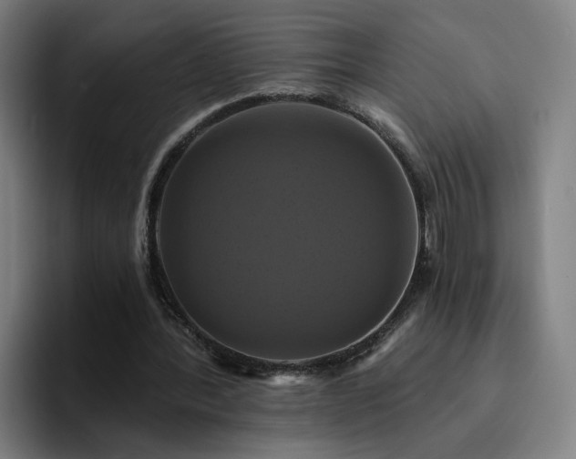 X0000094900388200712061033