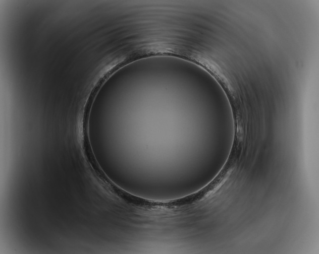 X0000094900390200712061033