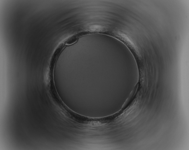 X0000094900392200712061033