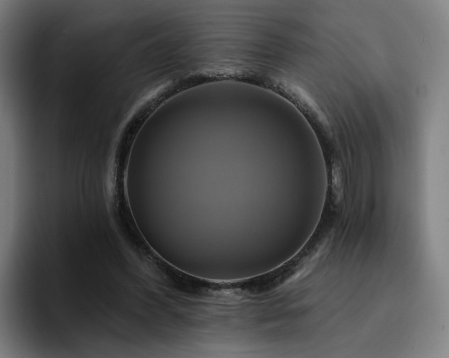 X0000094900396200712061033