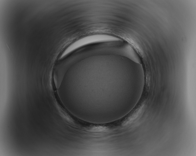 X0000094900397200712061033