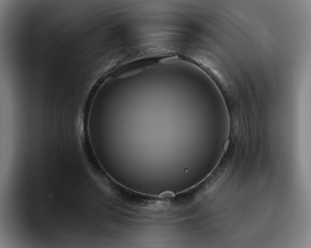 X0000094900398200712061033