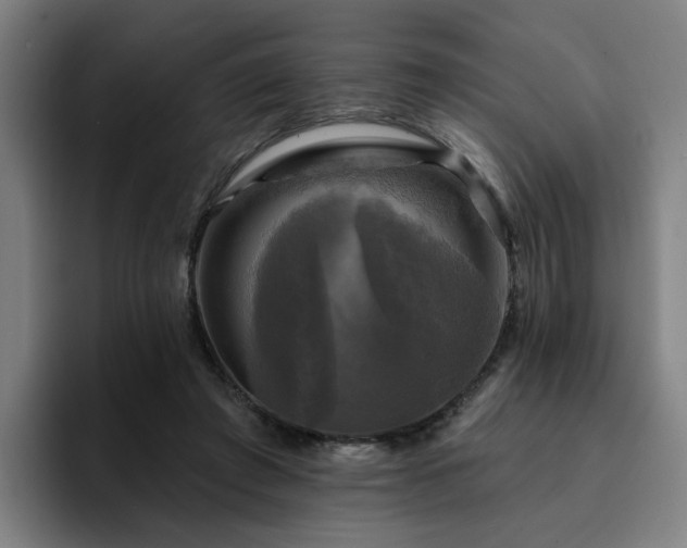 X0000094900401200712061033