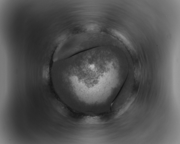 X0000094900403200712061033
