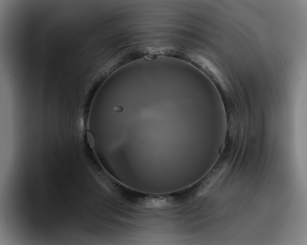 X0000094900405200712061033