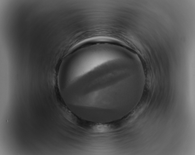 X0000094900413200712061032