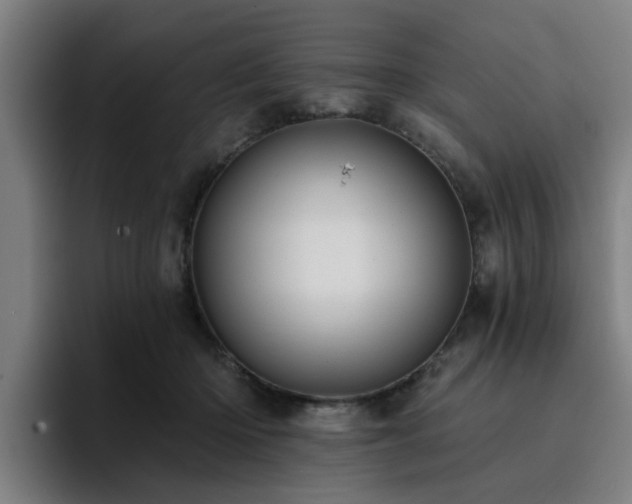 X0000094900414200712061032