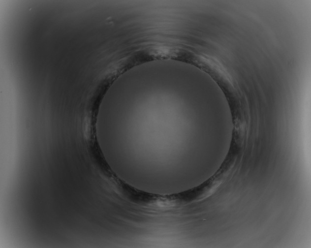 X0000094900416200712061032