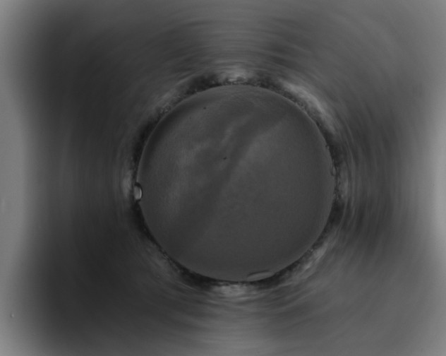 X0000094900417200712061032