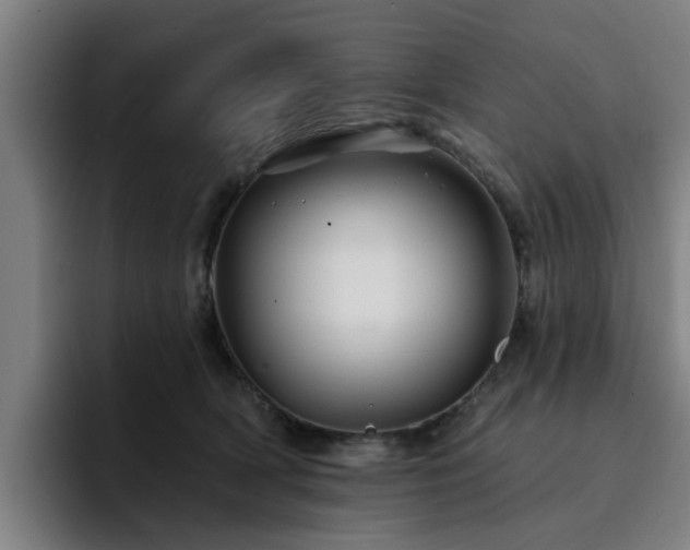 X0000094900418200712061032