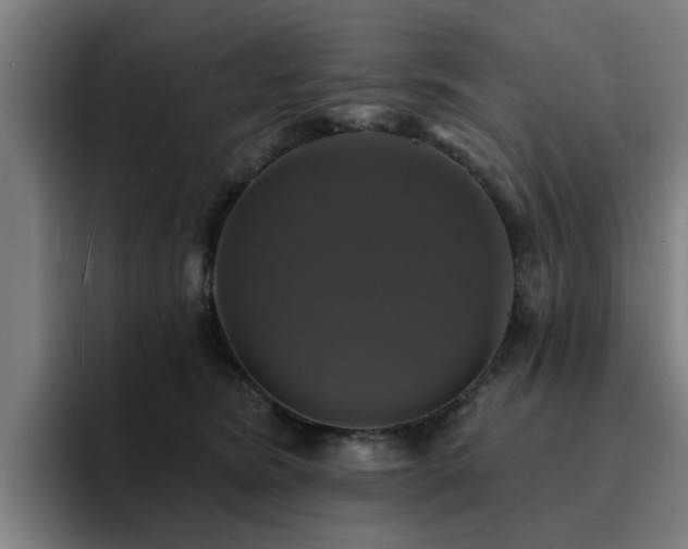 X0000094900420200712061032