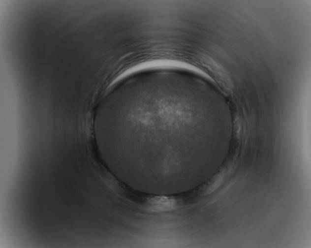 X0000094900421200712061032
