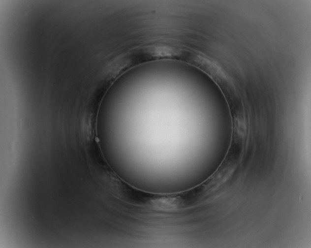 X0000094900422200712061032