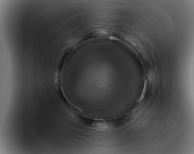 X0000094900423200712061032