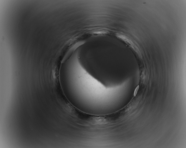 X0000094900424200712061032