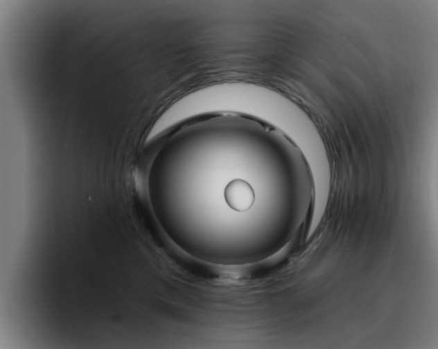 X0000094900425200712061032