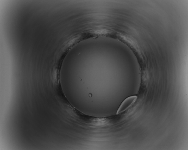 X0000094900428200712061032