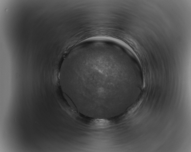 X0000094900429200712061032