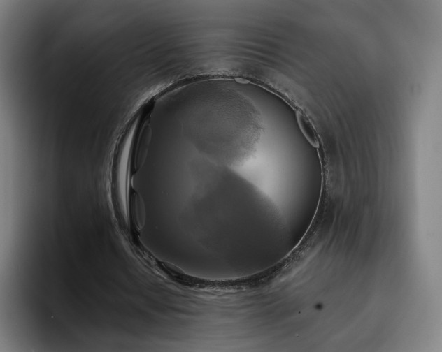 X0000094900434200712061032