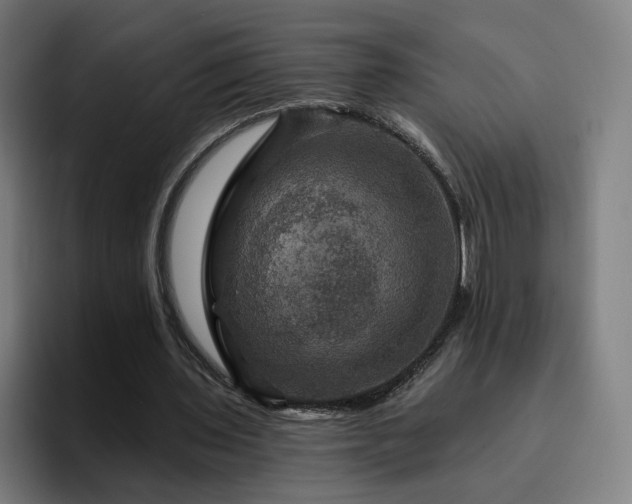 X0000094900435200712061032