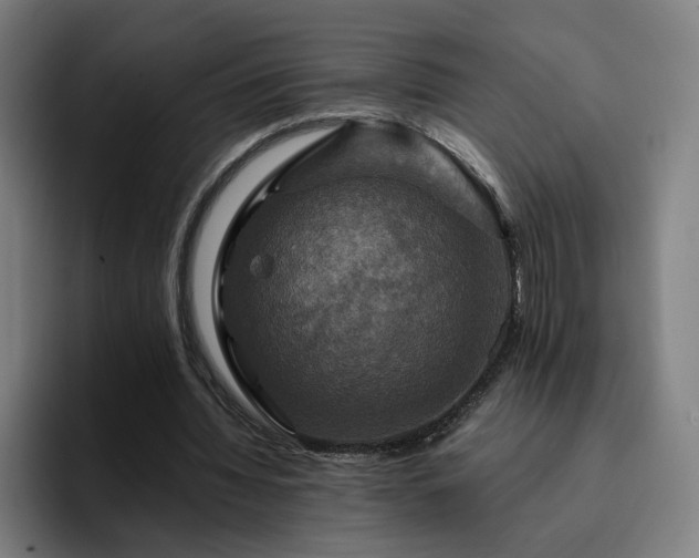 X0000094900436200712061032