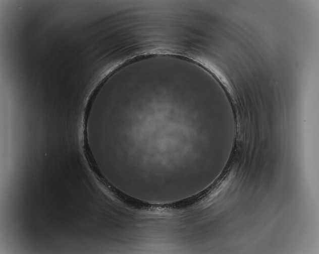 X0000094900437200712061032
