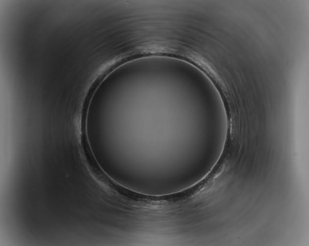 X0000094900438200712061032