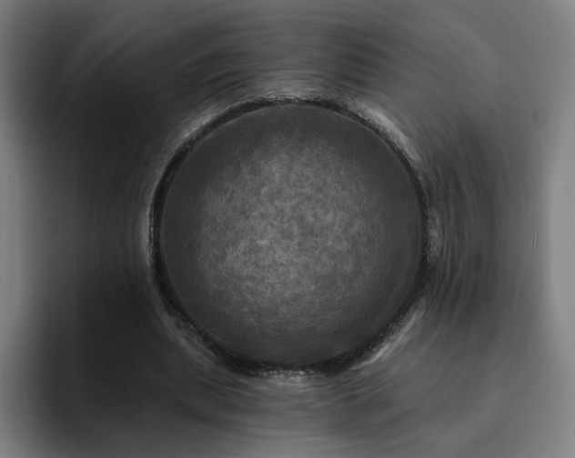 X0000094900439200712061032