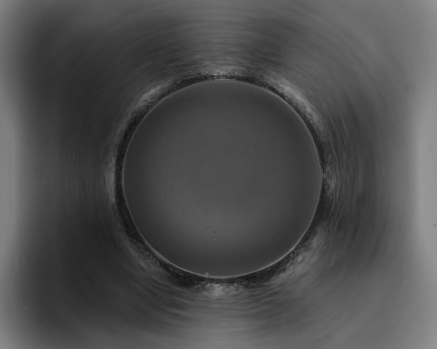 X0000094900442200712061032