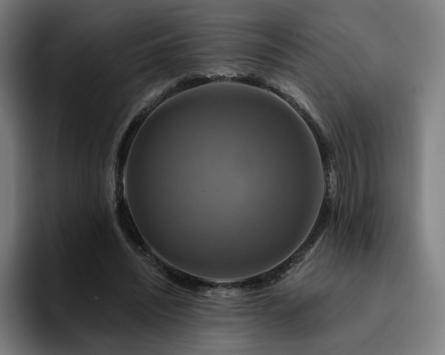 X0000094900444200712061032
