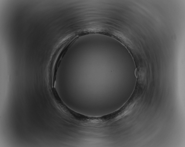 X0000094900446200712061032