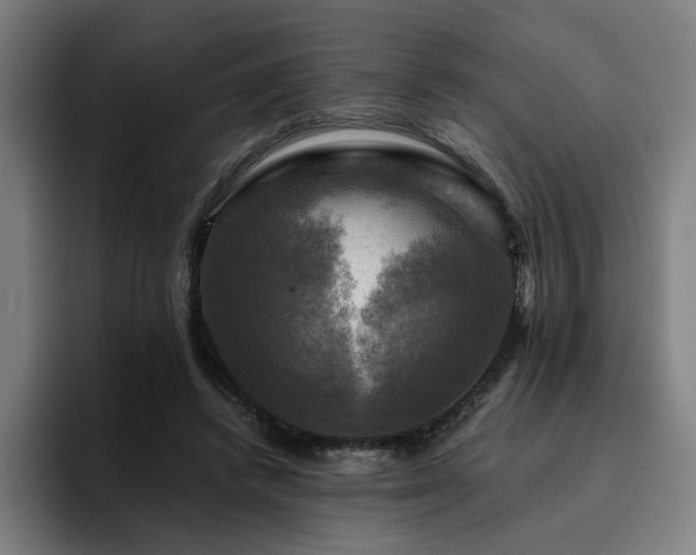 X0000094900448200712061032