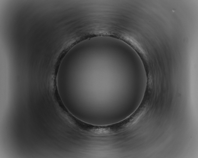 X0000094900449200712061032