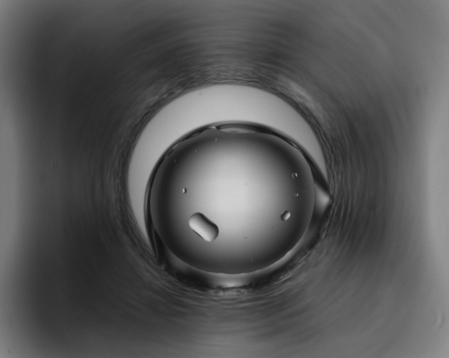 X0000094900452200712061032