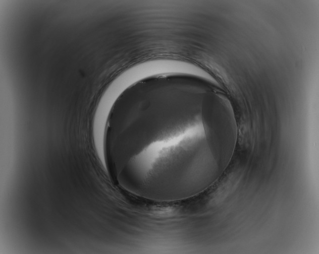 X0000094900454200712061032