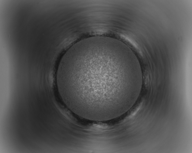 X0000094900455200712061032