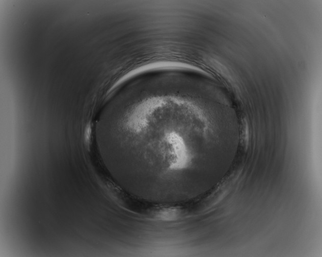 X0000094900456200712061032