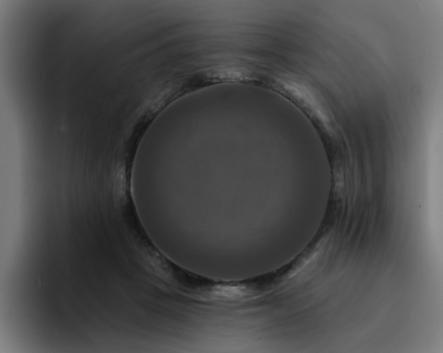 X0000094900457200712061032