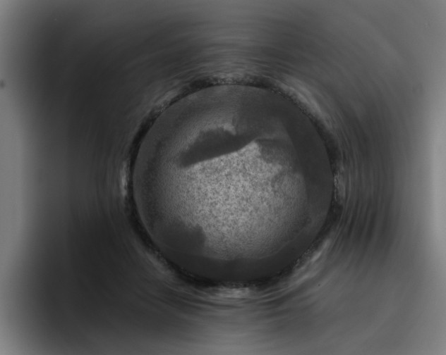 X0000094900458200712061032