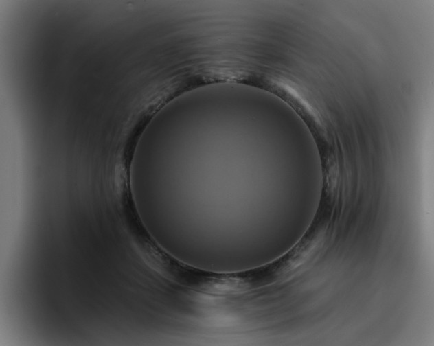 X0000094900459200712061032