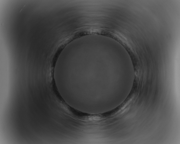 X0000094900462200712061032