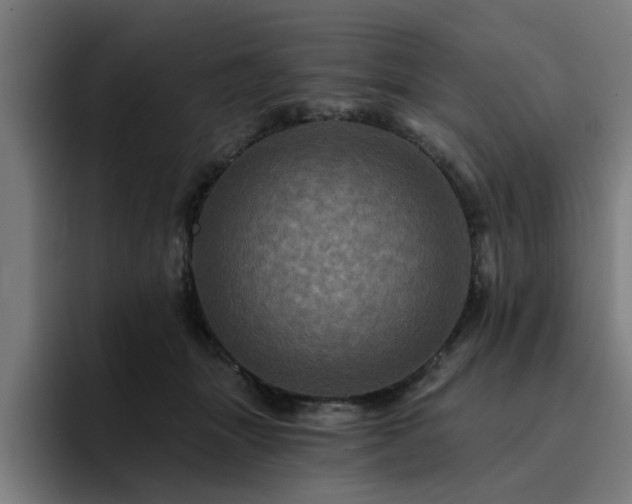 X0000094900463200712061032